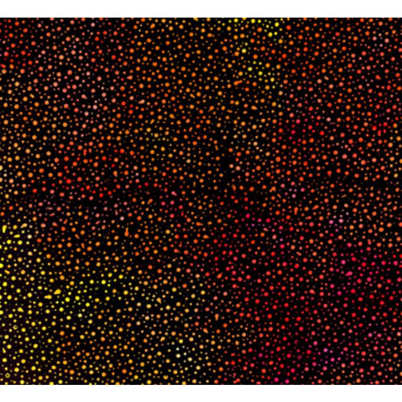 Handpaint basic : røde/orange prikke