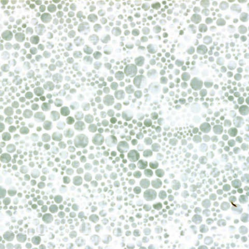 Bali Dew Drop : Frost