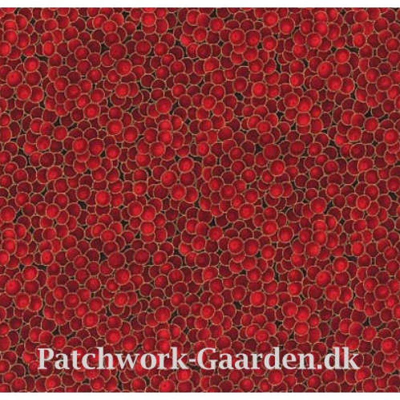 Winter Magic : Røde bær - sølv