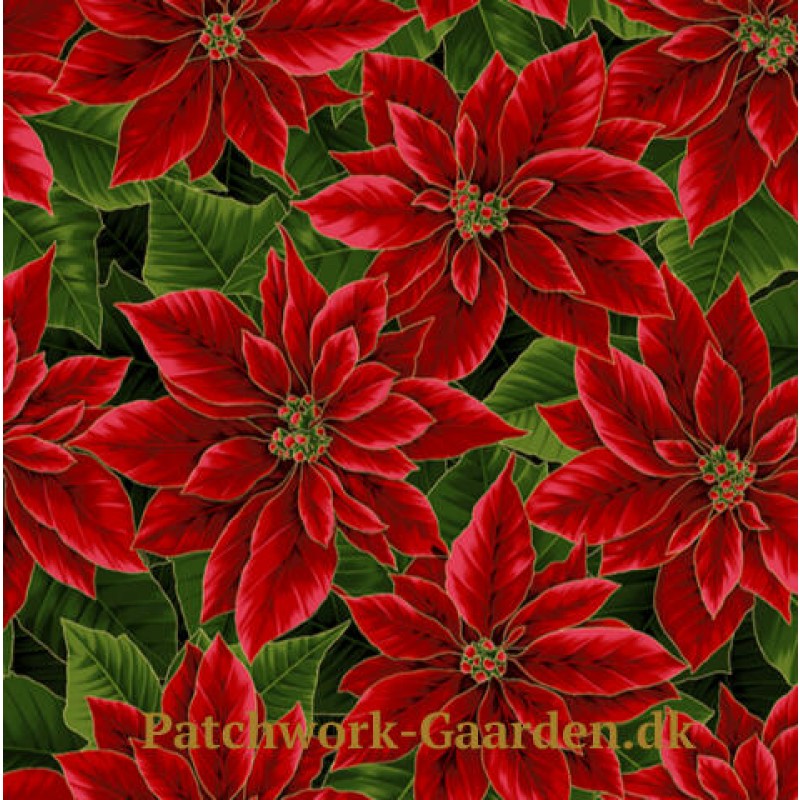 Holiday Decadence : jule stjerner