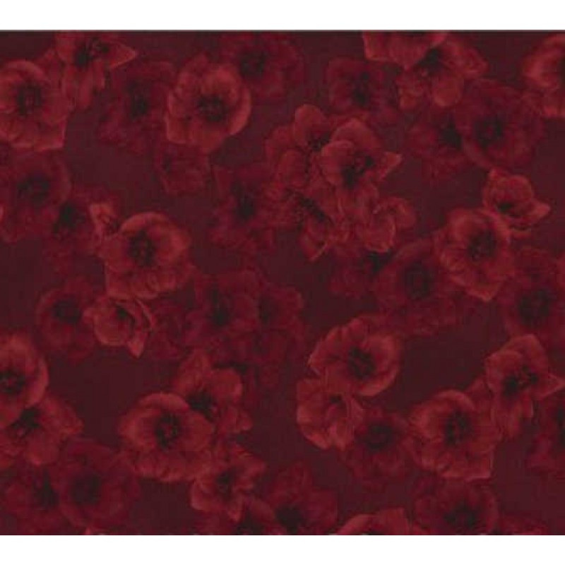 Floral Perspective : Amaryllis