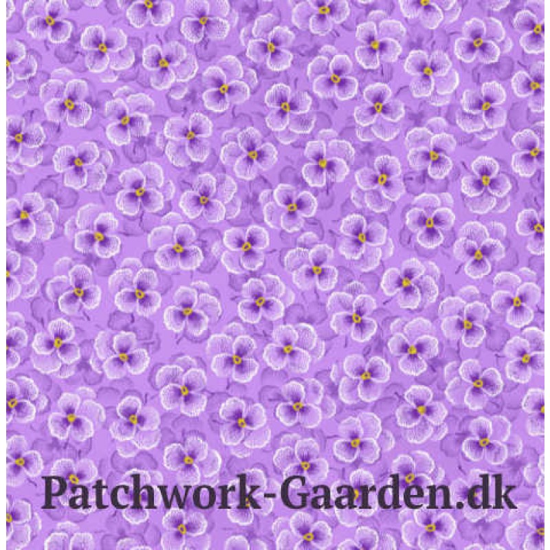 Bloomfield Avenue : Lilla Stedmoder