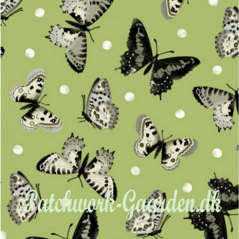 salon fleur : Sommerfugle