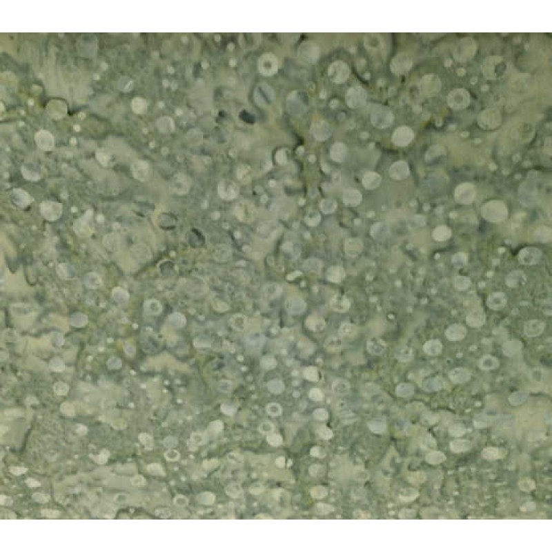 Treasure Island Batik : 3690-11