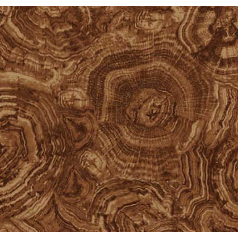 Stonehenge : Woodland