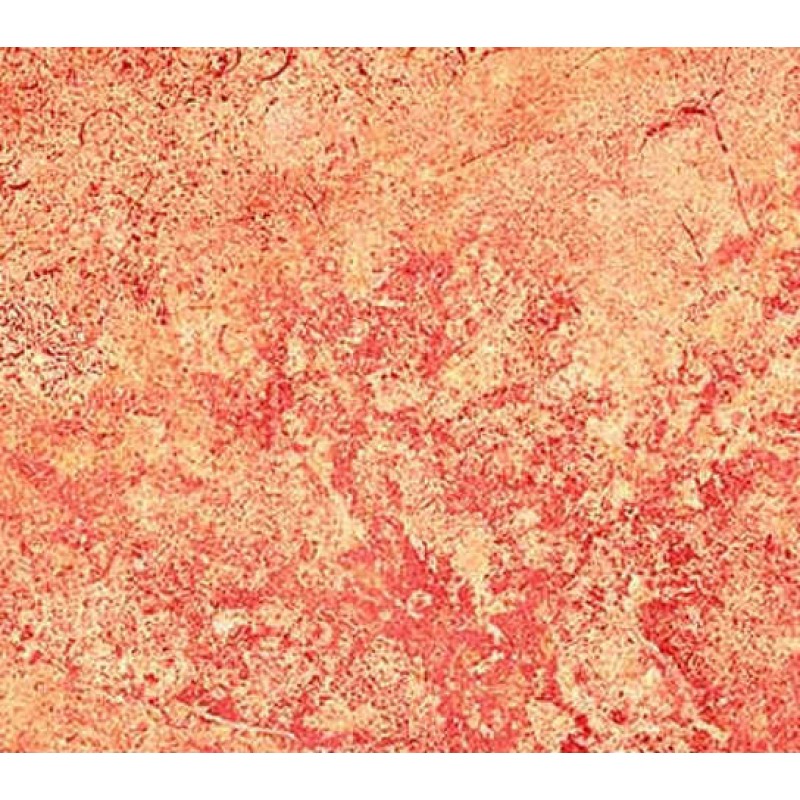 Northcott Gradation : Orange Pink