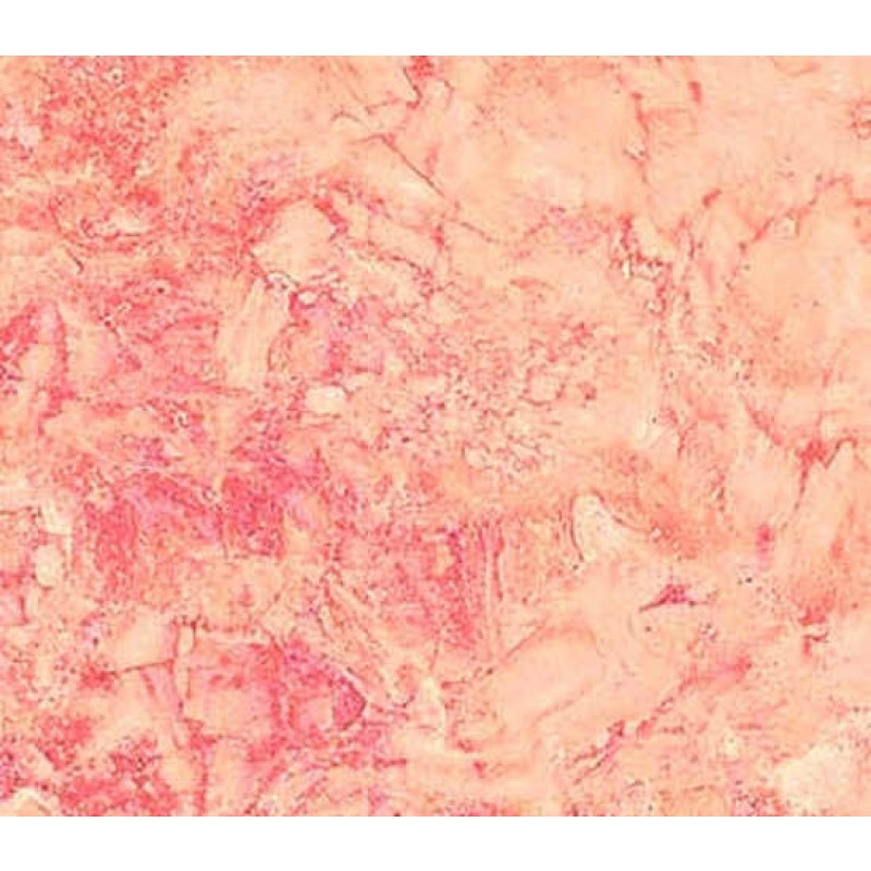 Northcott Gradation : Lys Pink