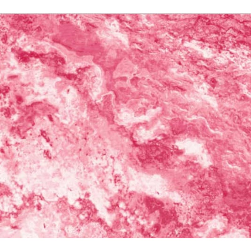 Northcott Gradation - pink