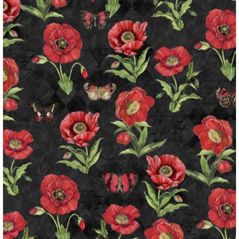 HARLEQUIN POPPIES : Blomster