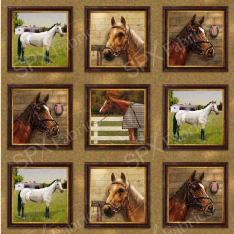 World of Horses : Billeder