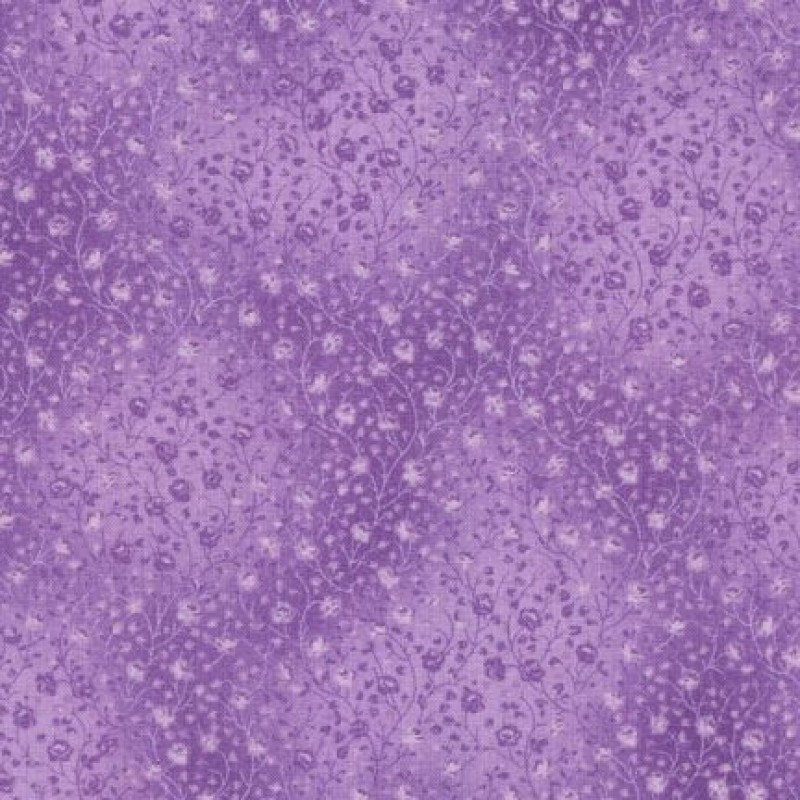 Fusions 4070 : Orchid