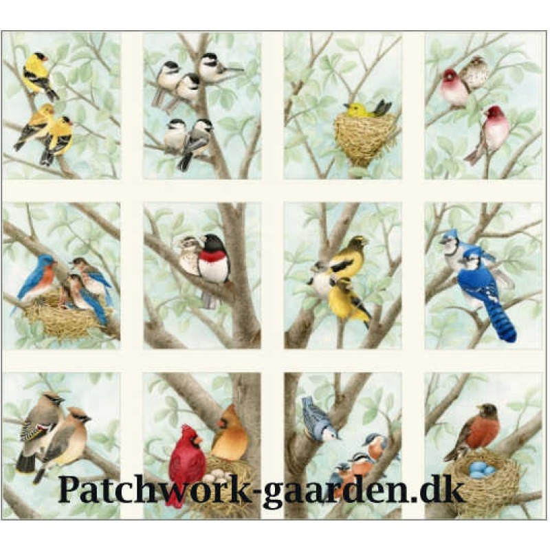 Beautiful Birds - Panel