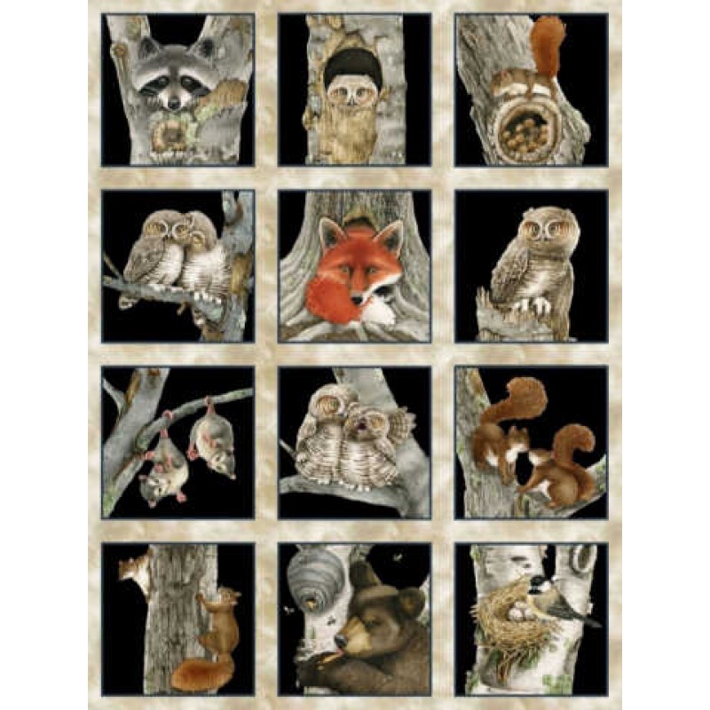 Hoo's Tree : Billeder