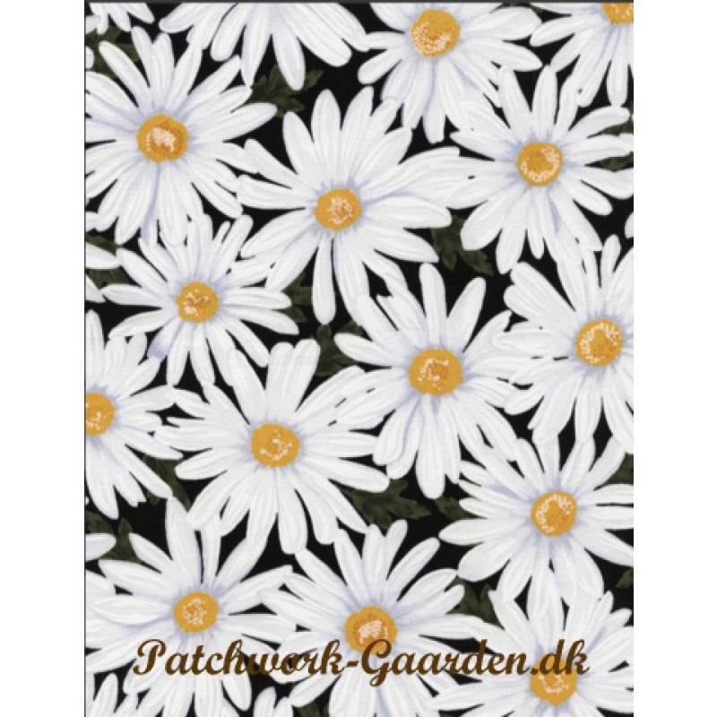 Live, Love, Laugh : Store Marguritter