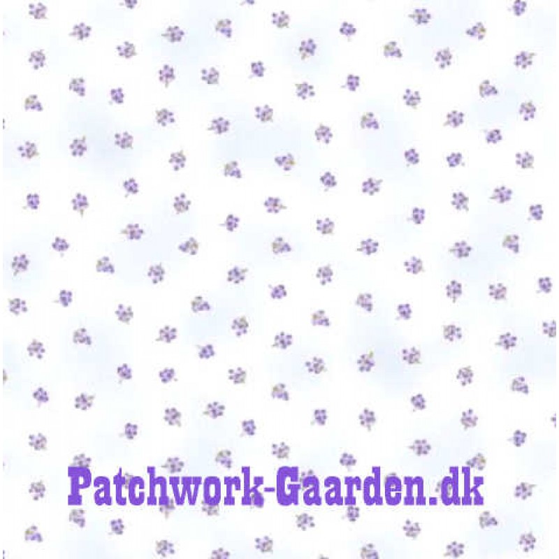 Lavender Story : Lavender knopper