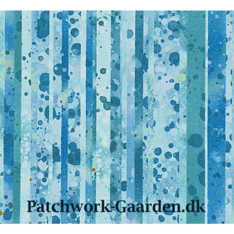 Ocean State : Striber