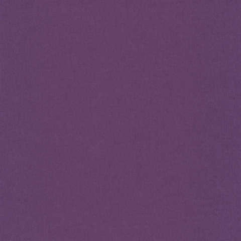 Quilters Basic Solids : 510