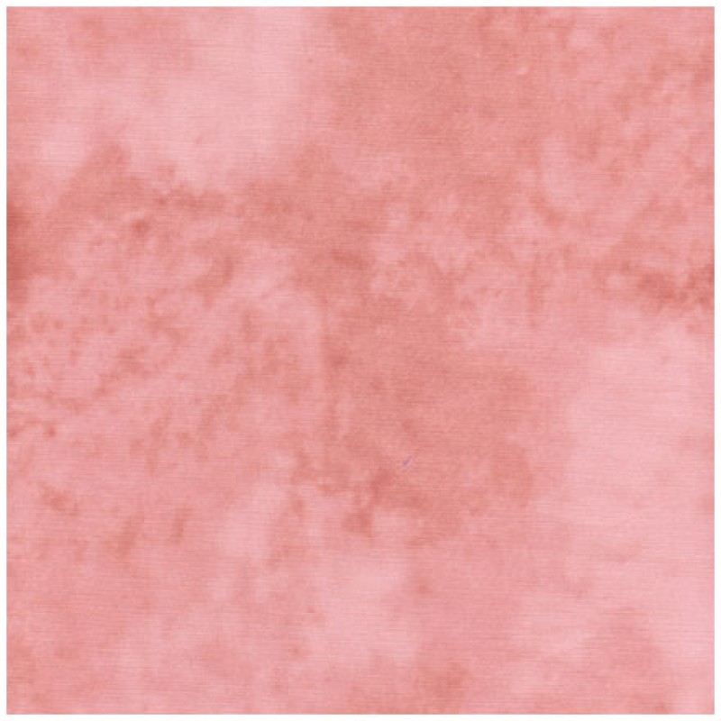 Quilters Shadow - Lys Rosa