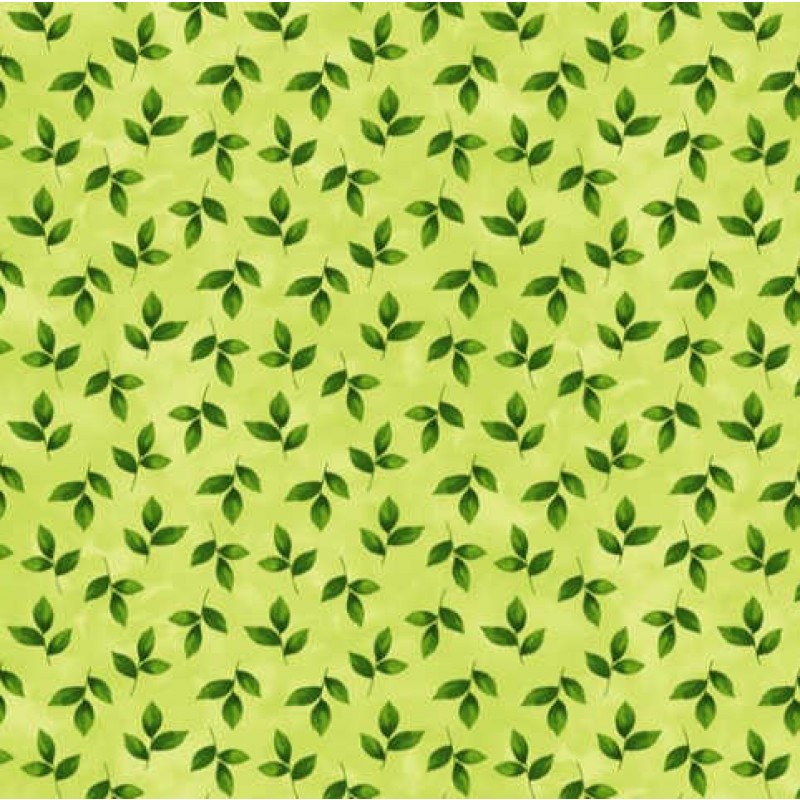 Northcott : Hamilton Grove : Grøne blade