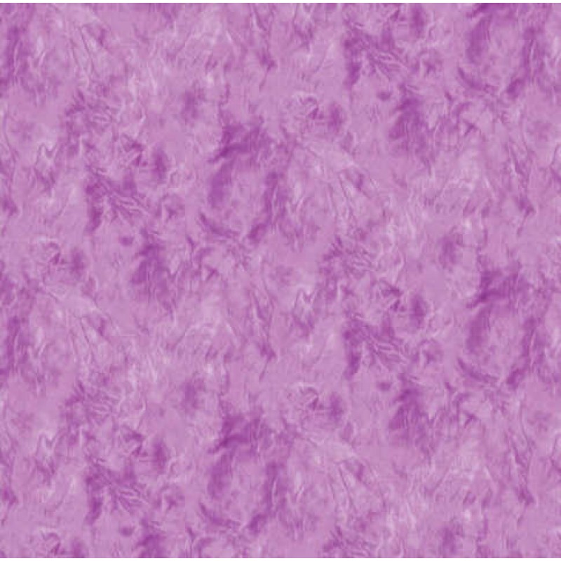 Northcott : Hamilton Grove : Lys lilla