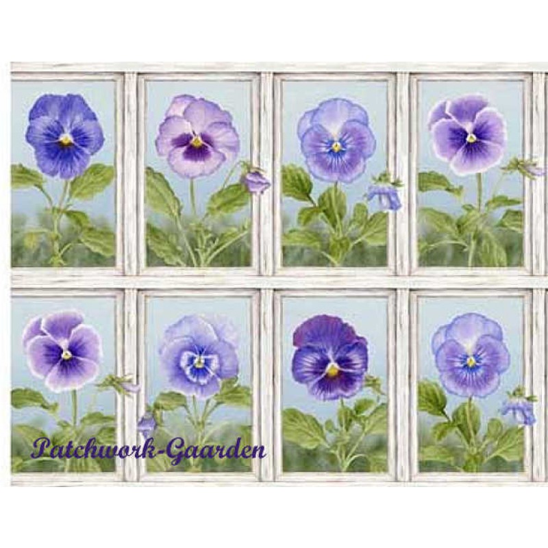 Pretty as a Pansy Billeder