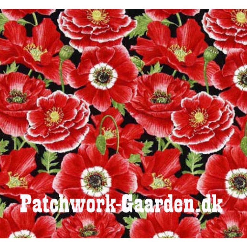 Poppy Perfection : Valmuer