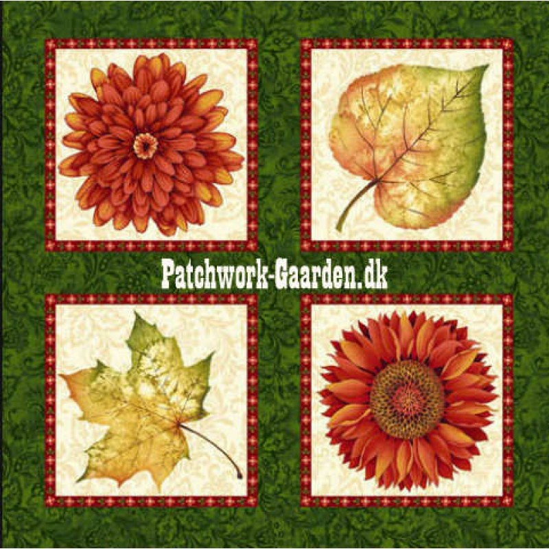 AtumnAlbumBilleder-0