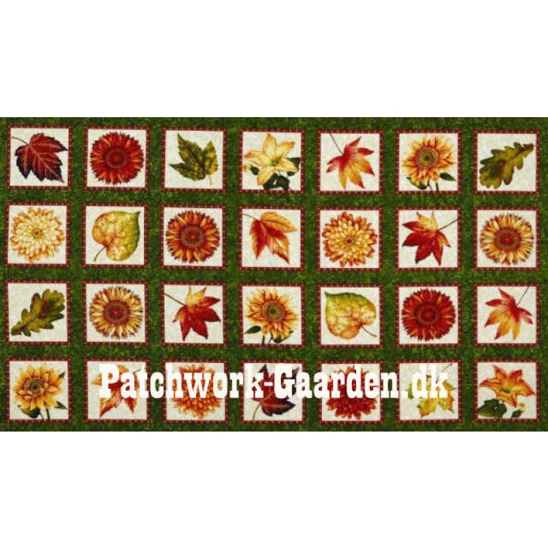 Atumn Album : Billeder