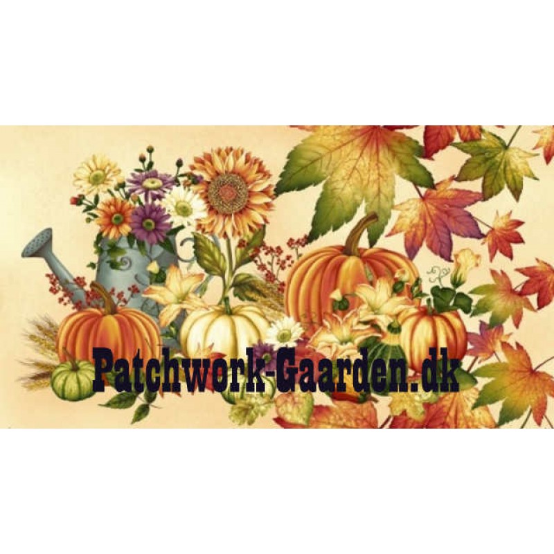 Autumn Album : Panel