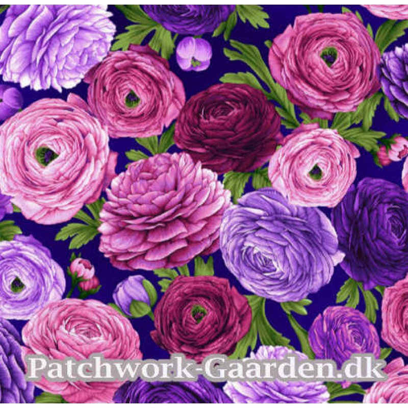 Dragonfly Garden : Ranunkler