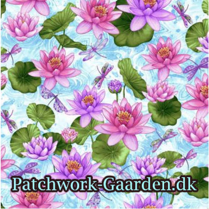 Dragonfly Garden : Åkander