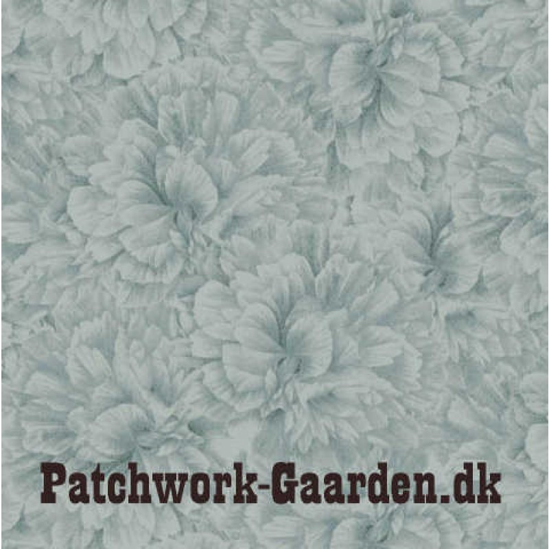 Flower Show : Grå blomster