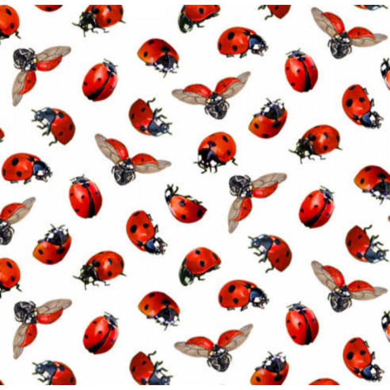 Sunflowers : Mariehøns