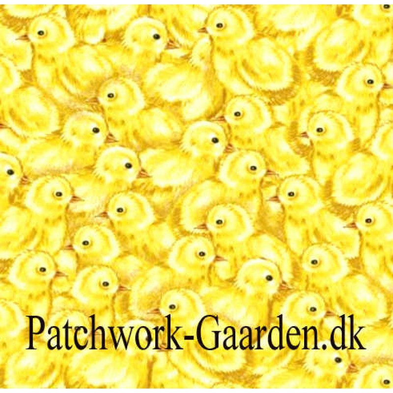 Sunflower Market : Kyllinger