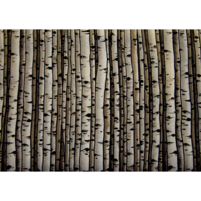 Countryside : birkestammer