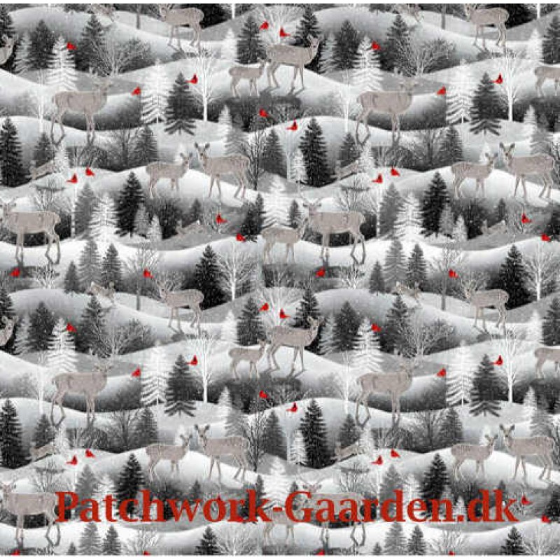 Midwinter Song : Skoven