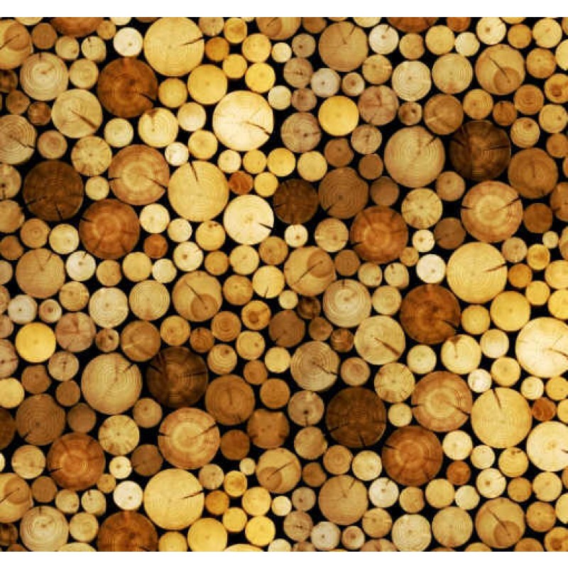 Landscapes : Træstammer