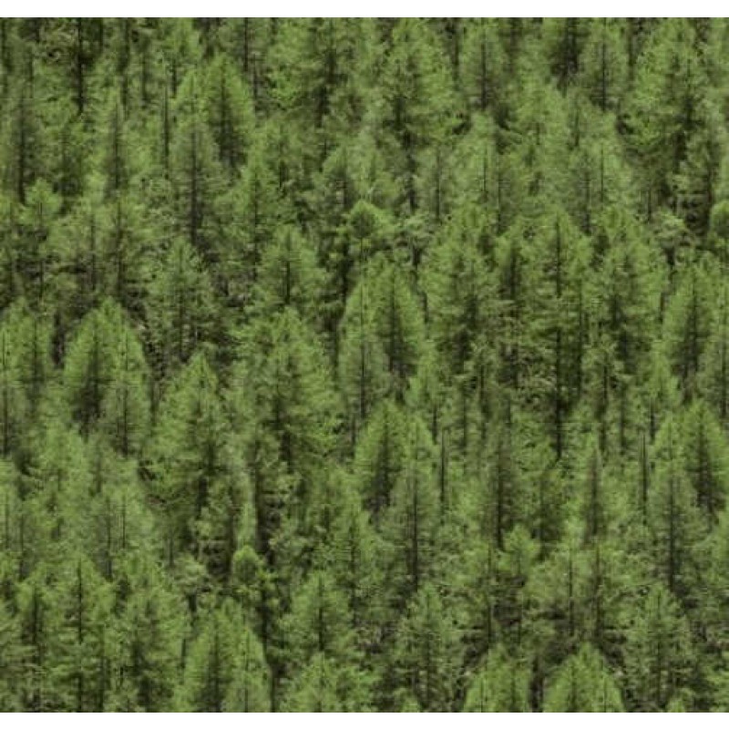 Landscapes : Granskov