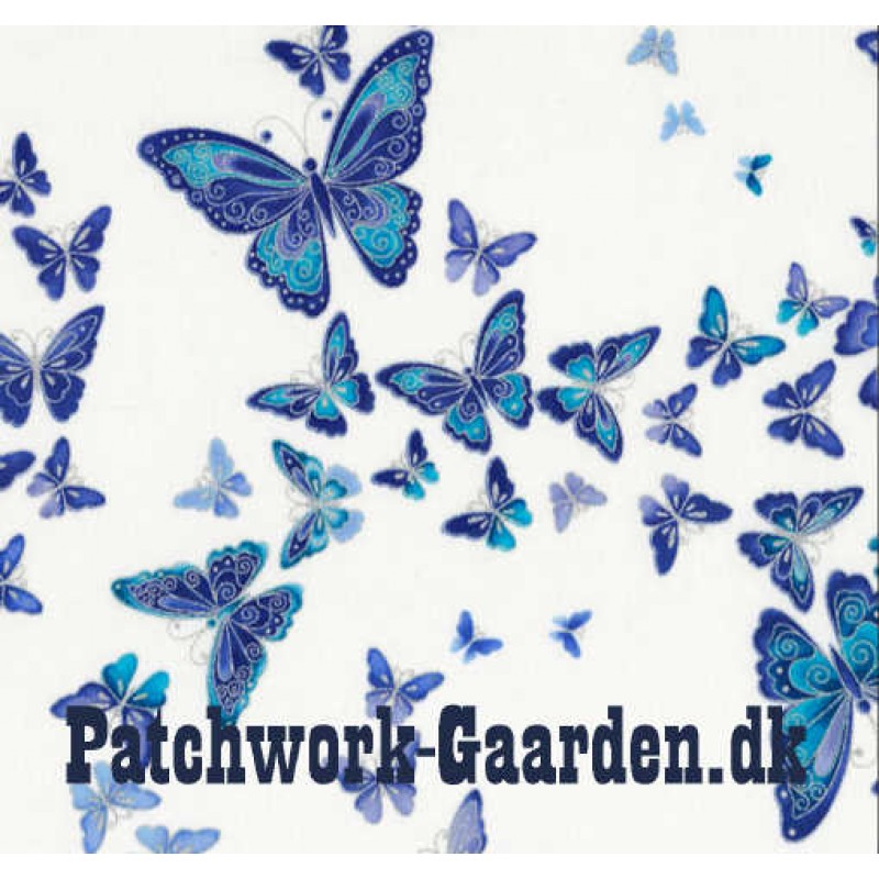 Dutchess : Sommerfugle