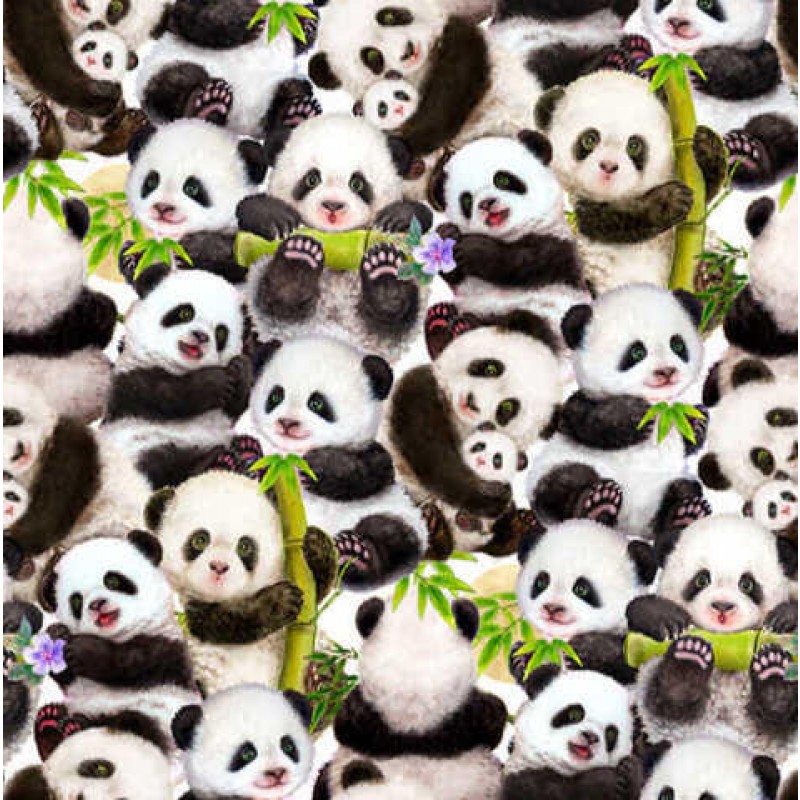 Panda Sanctuary - Packed Panda - Digital print