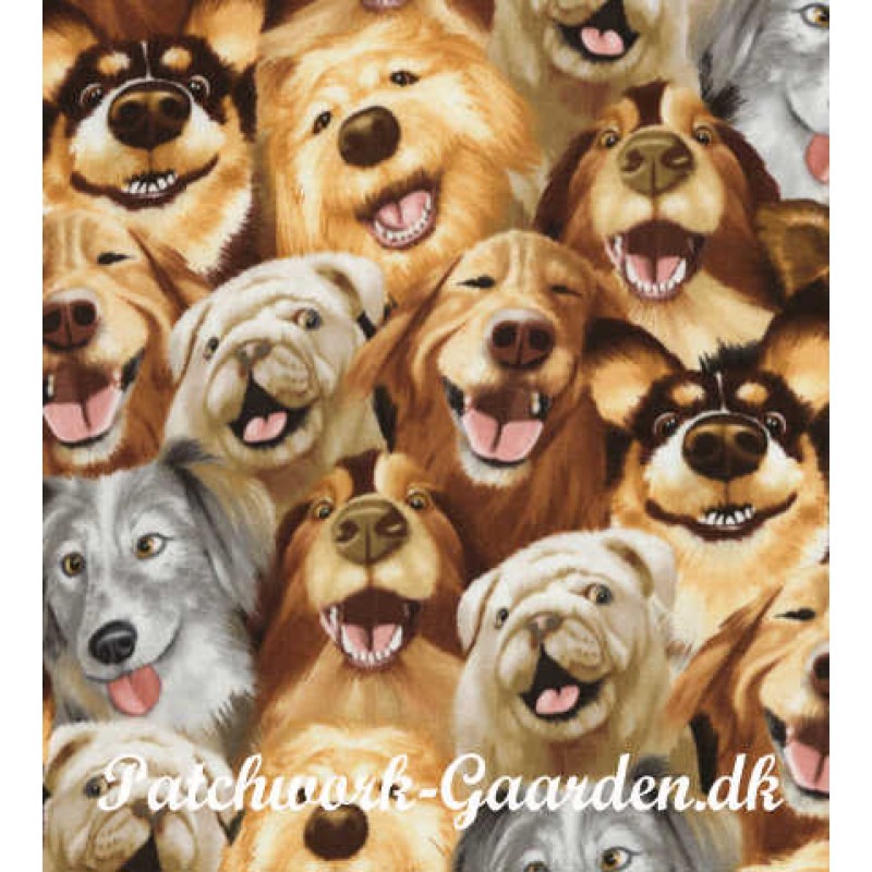 The Selfie Squad : Hunde