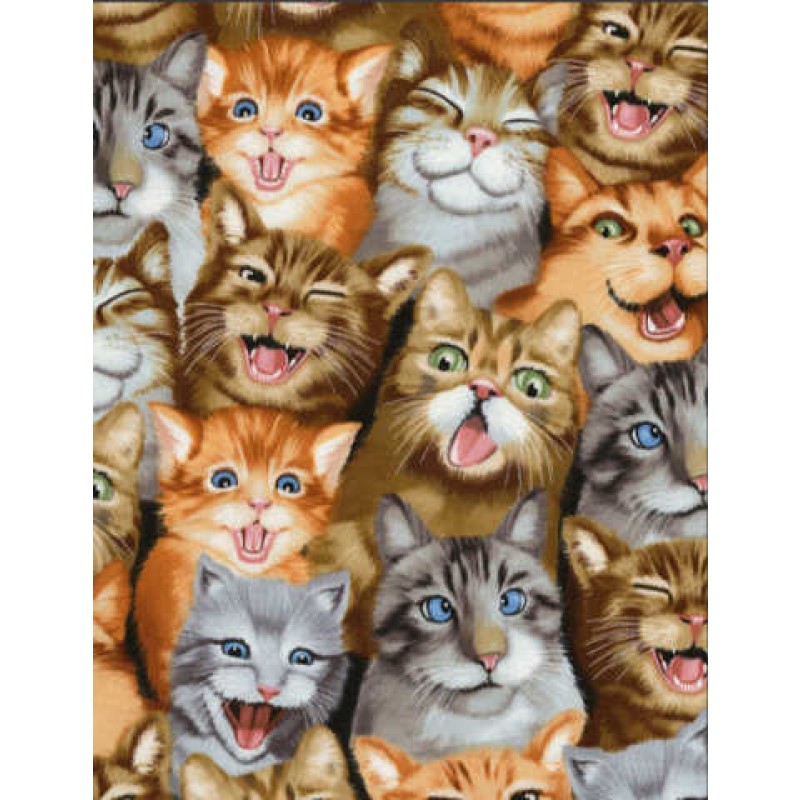 The Selfie Squad : Katte