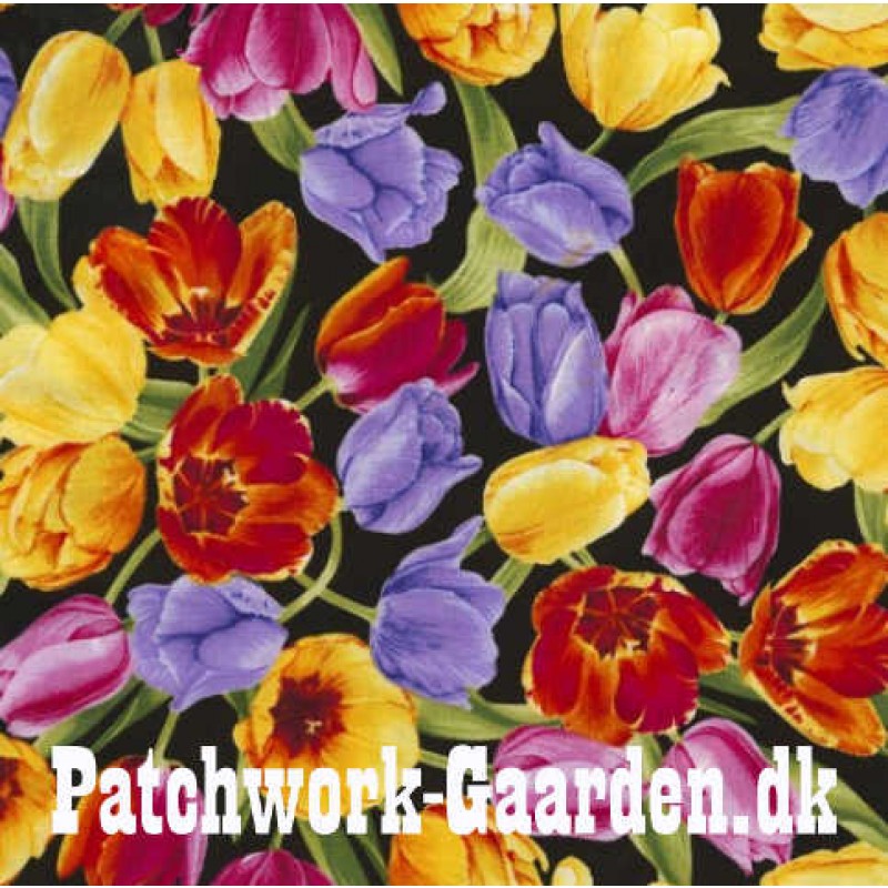 Petal Party : Tulipaner