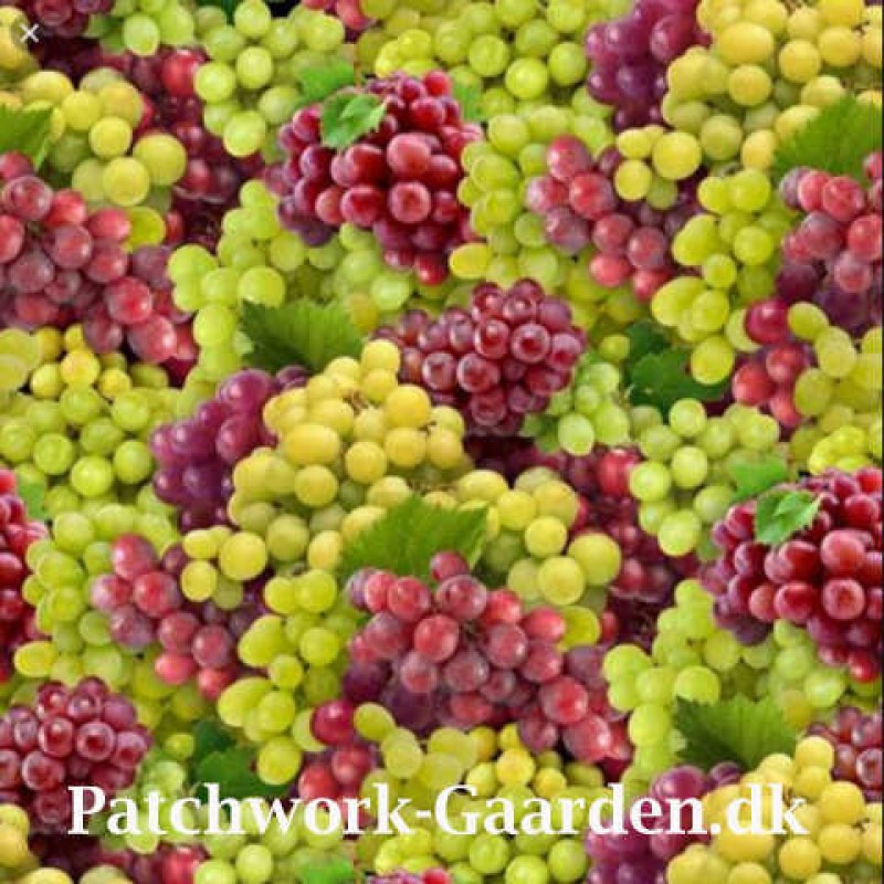 Food Festival : Vindruer