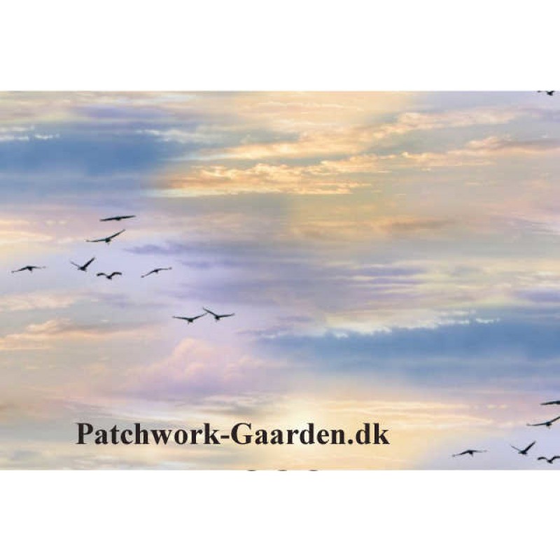 Landscape Medley : Himlen