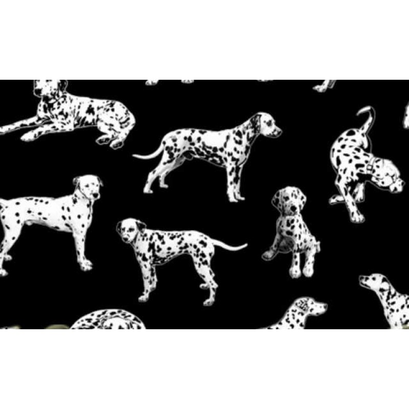 Hook & Ladder : Dalmatiner hunde.