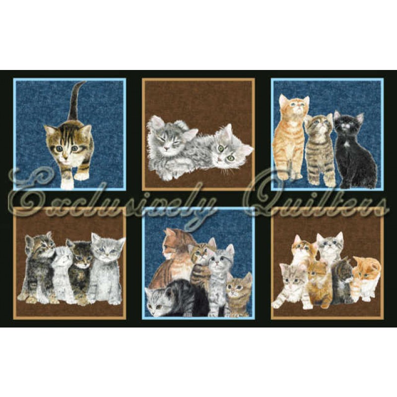 Counting Kittens : Store billeder