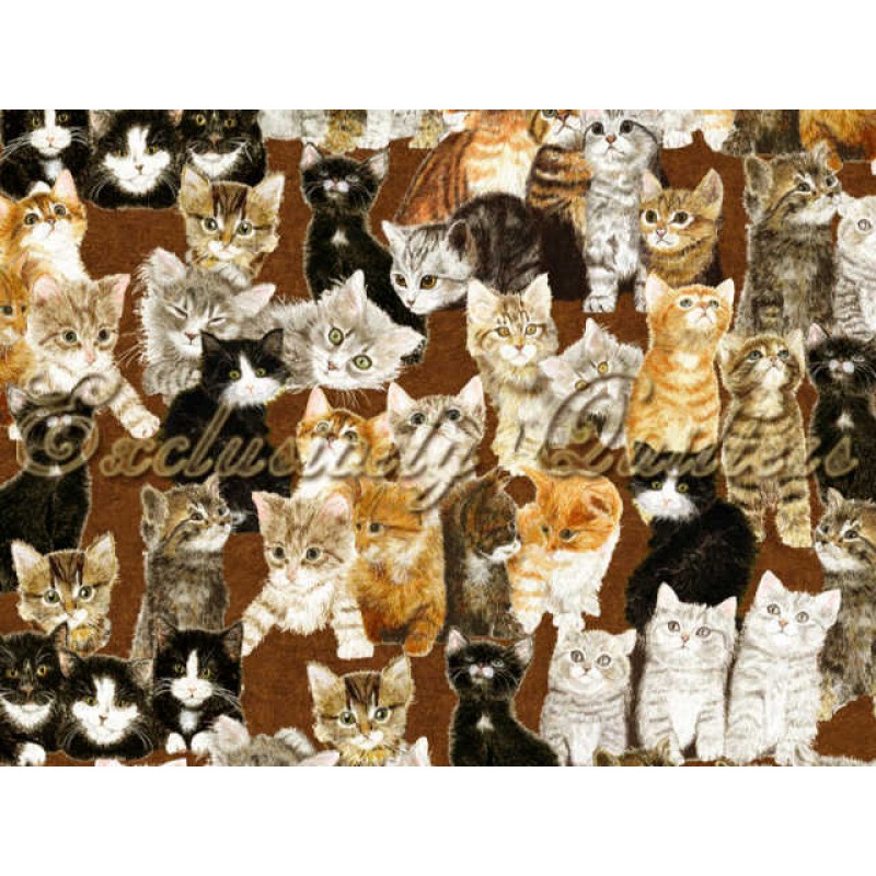 Counting Kittens : Killinger / Brun