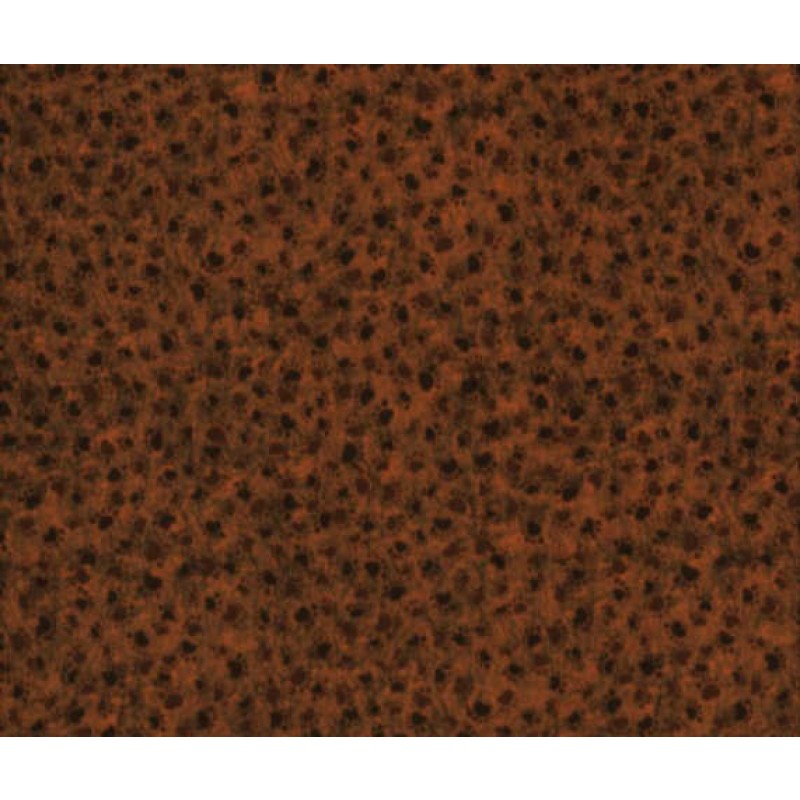 Counting Kittens : Brune poter