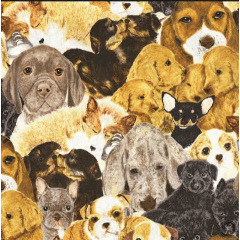 Puppy love : Hndehvalpe